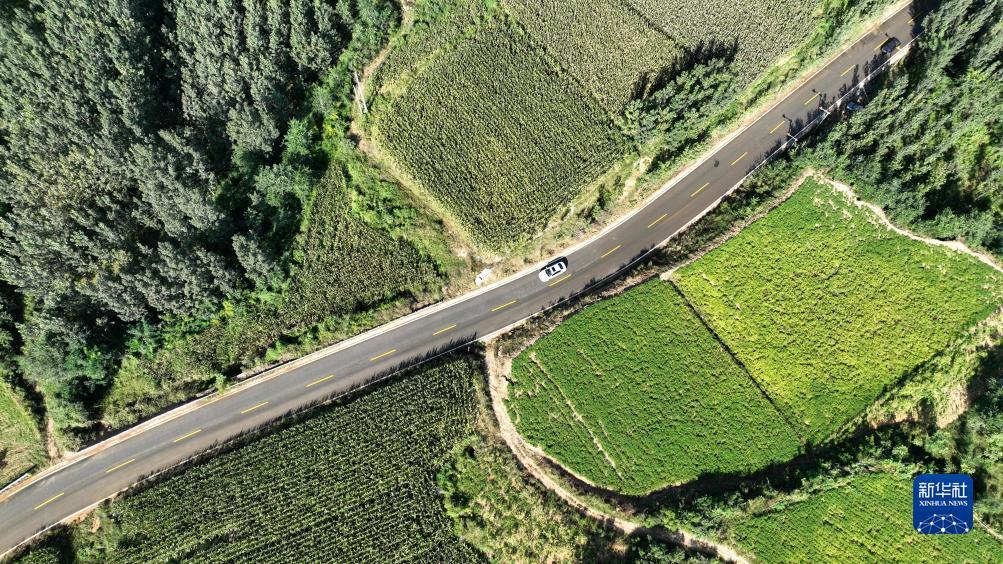 红宝石乐城线路检测